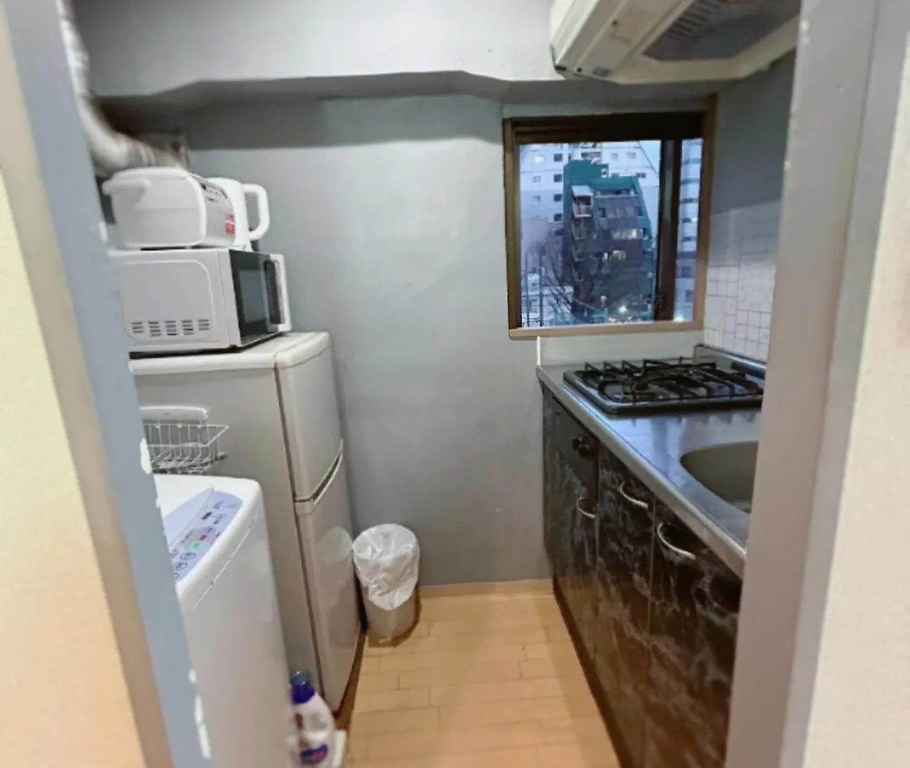 Tokyo Ueno Hostel Palazetto Iriya Apartment